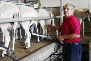 Productor de queso ecológico Alonso Santos de Pedro de El Fornazo