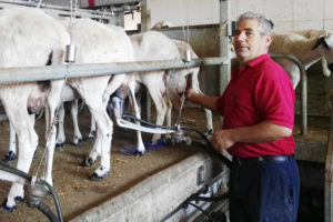 Productor de queso ecológico Alonso Santos de Pedro de El Fornazo