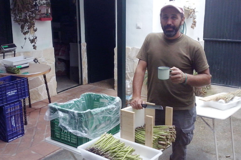 Productor orgánico de granos y verduras Victorio Domínguez Muñoz