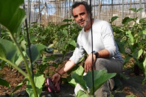 Biologische groente- en fruitproducent Constantino Ruiz Dominguez aan het werk in zijn tunnels