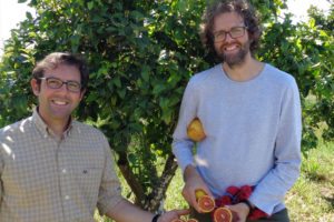 Producers of organic oranges César and Juan Salamanca Ocaña