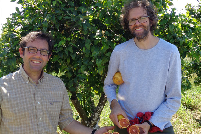 Producteurs d'oranges biologiques César & Juan Salamanca Ocaña