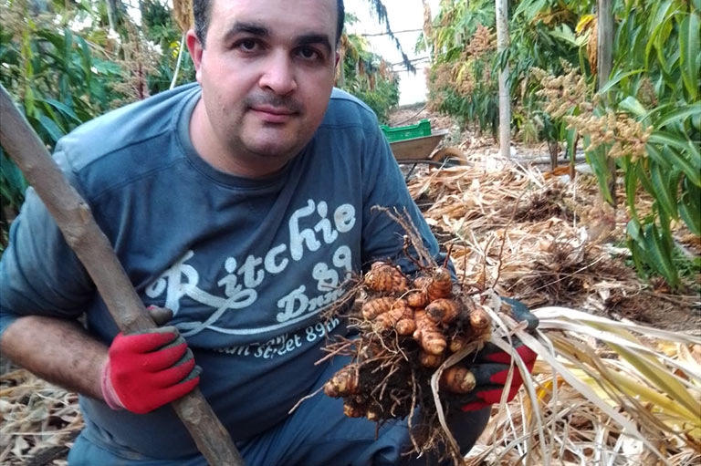 Producteur de mangue et papaye bio David Ruiz