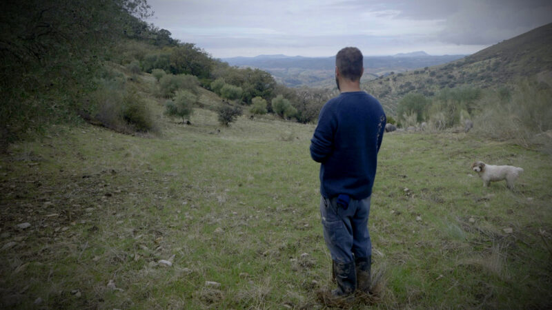 Antonio looks out over the valley