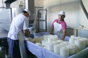 Productor ecológico El Fornazo elaborando queso