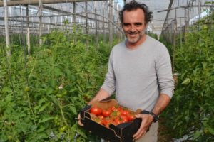 Biologische boer Constantino Ruiz Dominguez in zijn tunnels met een doos tomaten