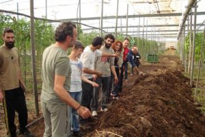 El agricultor orgánico Constantino Ruiz Domínguez en su invernadero demostrando técnicas agrícolas a un grupo de personas