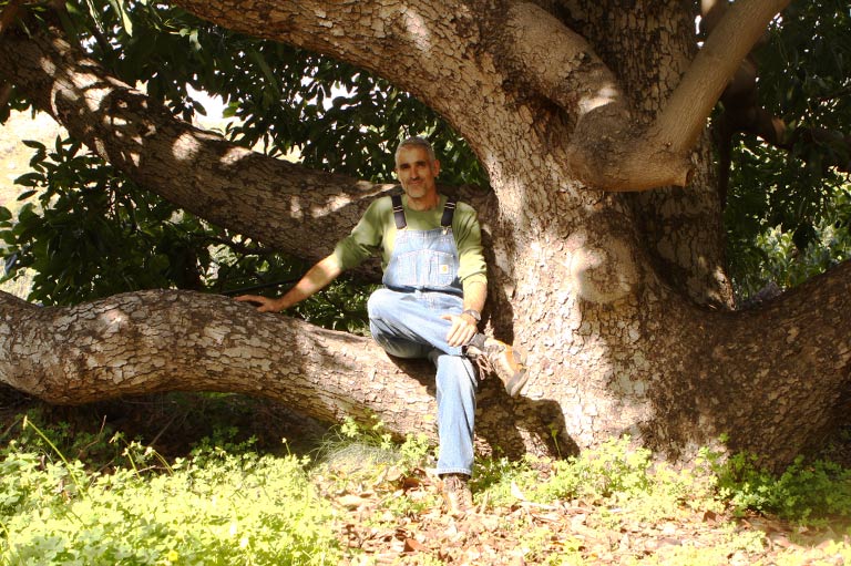 Producteur biologique de chirimoya, d'avocat et de mangue Jose Antonio González