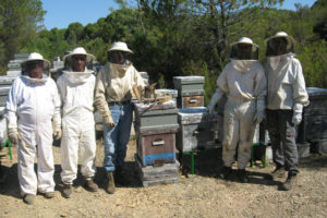Les membres des producteurs de miel biologique Verde Miel debout à côté de ruches d'abeilles