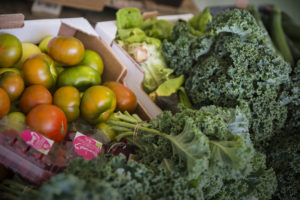 Cajas de hortalizas frescas en el almacén de Guadalhorce Ecológico