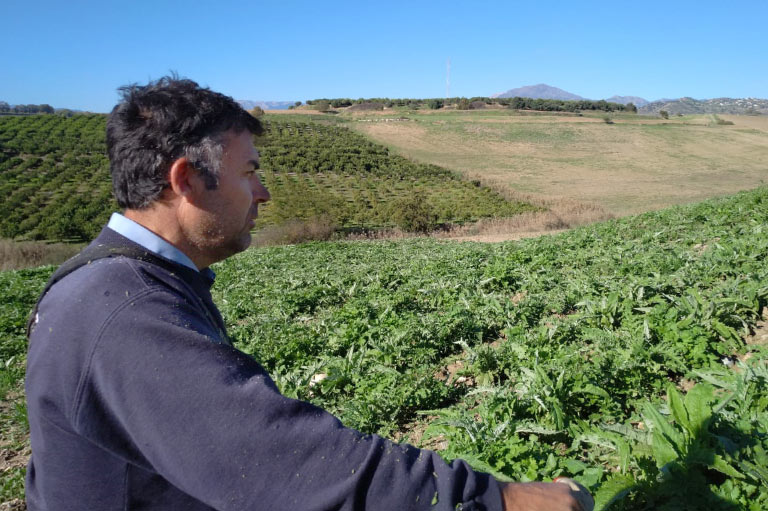 Productor ecológico de naranja y limón Antonio Gámez