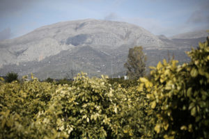 Álora in de Valle del Guadalhorce, vlakbij Málaga