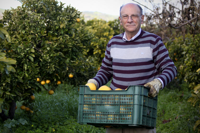Organic farmer Francisco González Martín