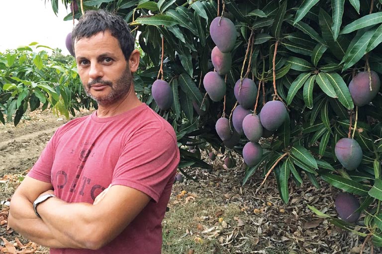 Organic avocado and mango producer Jesus Manuel Villena