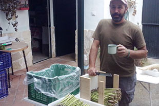 Producteur de céréales et de légumes biologiques Victorio Domínguez Muñoz