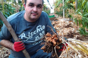 Productor de mango y papaya orgánicos David Ruiz