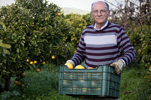 Organic farmer Francisco González Martín