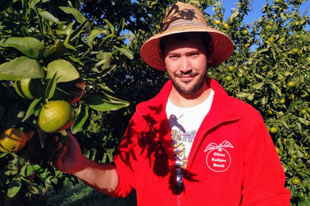 Productor ecológico de naranja y mandarina Francisco León Barceló