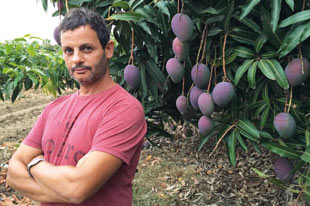 Producteur d'avocat et de mangue biologique Jesús Villena