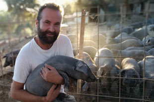 Productor de jamón ecológico Antonio Marin, rodeado de cerdos de raza ibérica