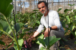 Biologische groente- en fruitproducent Constantino Ruiz Dominguez aan het werk in zijn tunnels