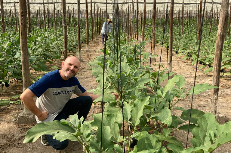 Producteur d'aubergines, de poivrons et de haricots verts biologiques Jose Antonio Lopez Caras