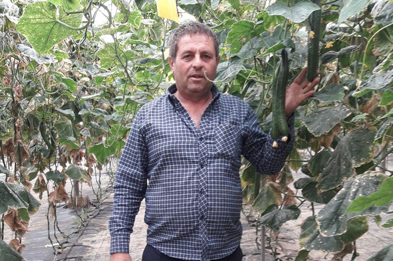 Organic cucumber producer Sergio Lopez Berbel