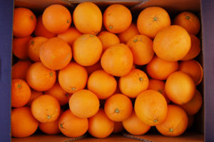 Navelina oranges grown by BioValle