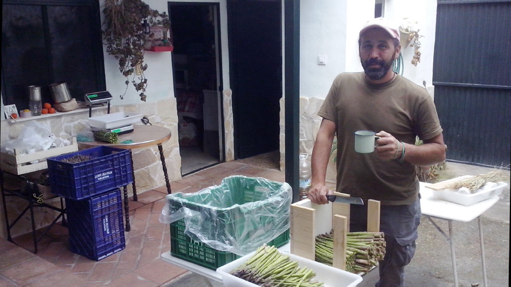Productor orgánico de granos y verduras Victorio Domínguez Muñoz