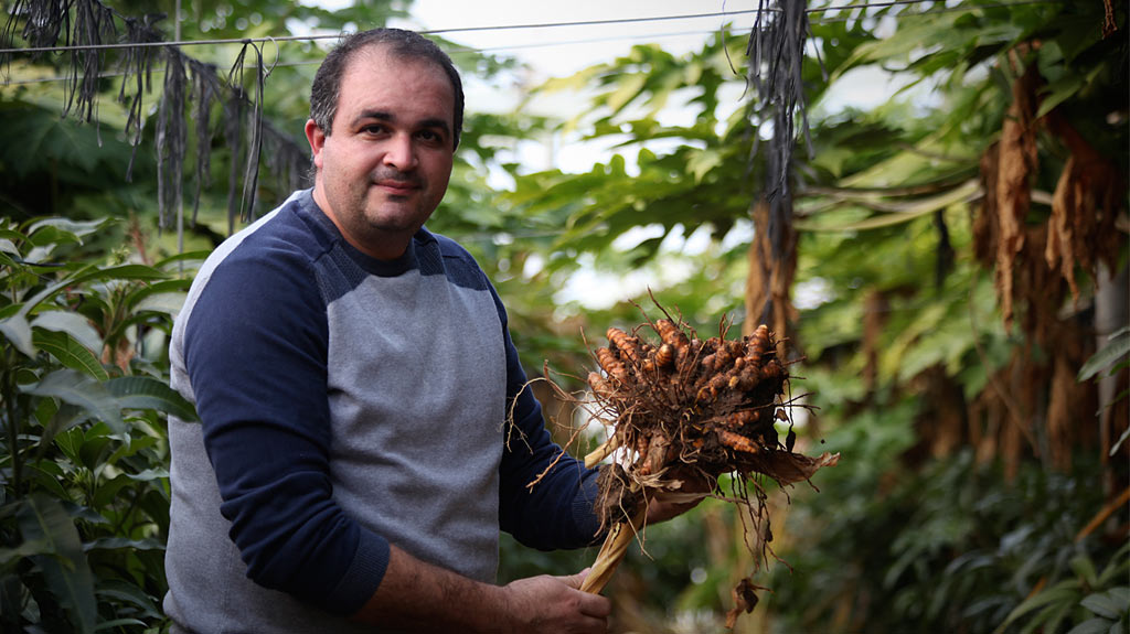 Productor de mango y papaya orgánicos David Ruiz