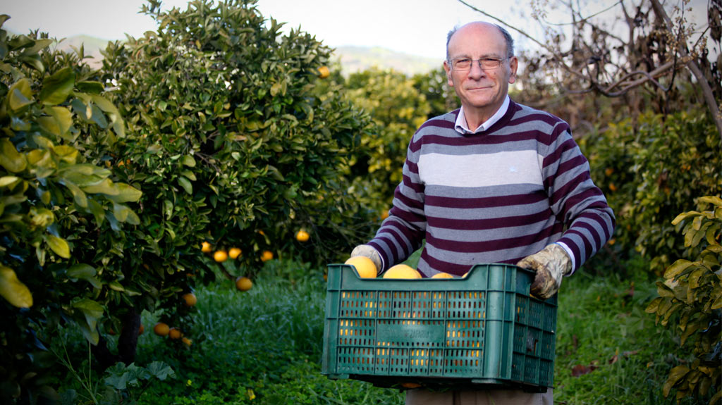 Organic farmer Francisco González Martín