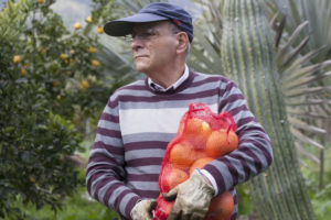 Francisco González Martín holding a large bag of harvested grapefruit