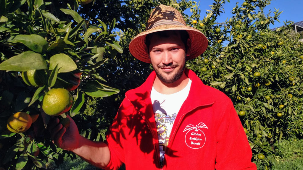 Productor ecológico de naranja y mandarina Francisco León Barceló