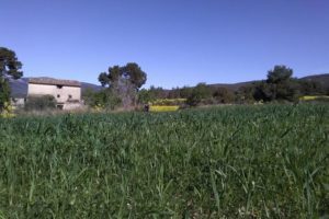 Un champ de cultures avec une maison en pierre et un paysage derrière