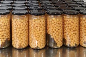 Jars of preserved chickpeas, ready for labelling and packing