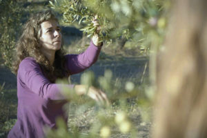 Begoña Barragan cueillant des olives sur un arbre