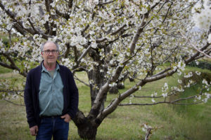 Biologische kersenproducent Paco Aceras staande naast zijn in bloei staande bomen