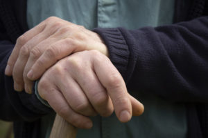 Close-up of the hands of organic cherry producer Paco Aceras