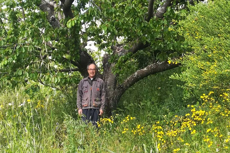 Organic cherry producer Paco Aceras