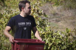 Wijnmaker José Acosta staat in een wijngaard en houdt een grote krat vast voor de druivenoogst
