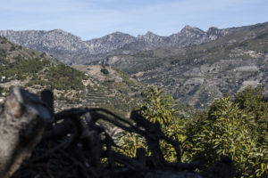 Uitzicht vanaf de boerderij van Jose González, kijkend over een vallei naar bergen en terrassen met bomen