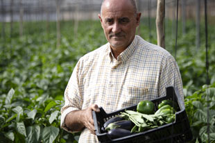 Le producteur de légumes biologiques Álvaro Bazán