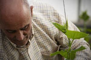 Gros plan de l'agriculteur biologique Álvaro Bazán