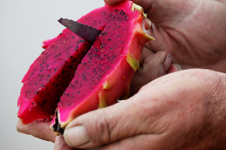 A fresh dragon fruit being cut open