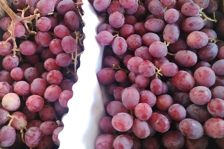 A box of harvested red grapes