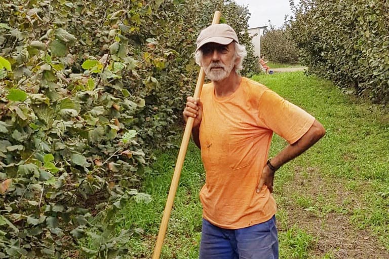 Biologische landbouwer Miquel Angel van Naturselva staande tussen rijen hazelnootbomen