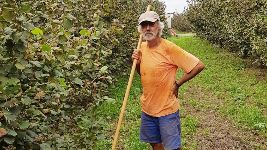 Biologische landbouwer Miquel Angel van Naturselva staande tussen rijen hazelnootbomen