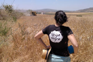 Arrate Corres observando una cosechadora que pasa por un campo de trigo