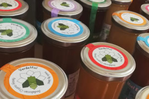 Jars of different varieties of honey