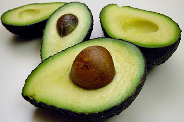 Aguacate Maluma